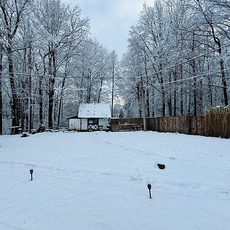 Romantyczna Chatka Pisarzowice (Bielsko) Exterior foto