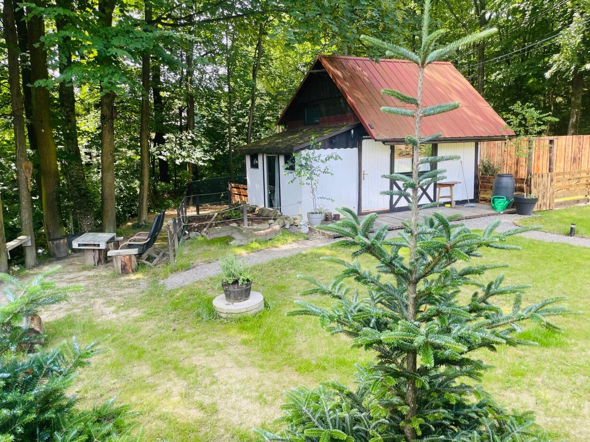 Romantyczna Chatka Pisarzowice (Bielsko) Exterior foto