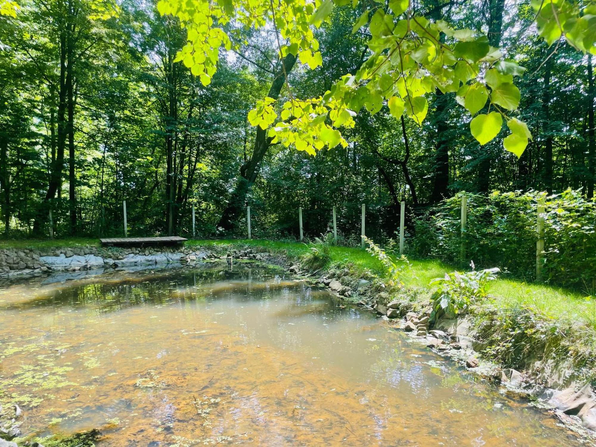 Romantyczna Chatka Pisarzowice (Bielsko) Exterior foto