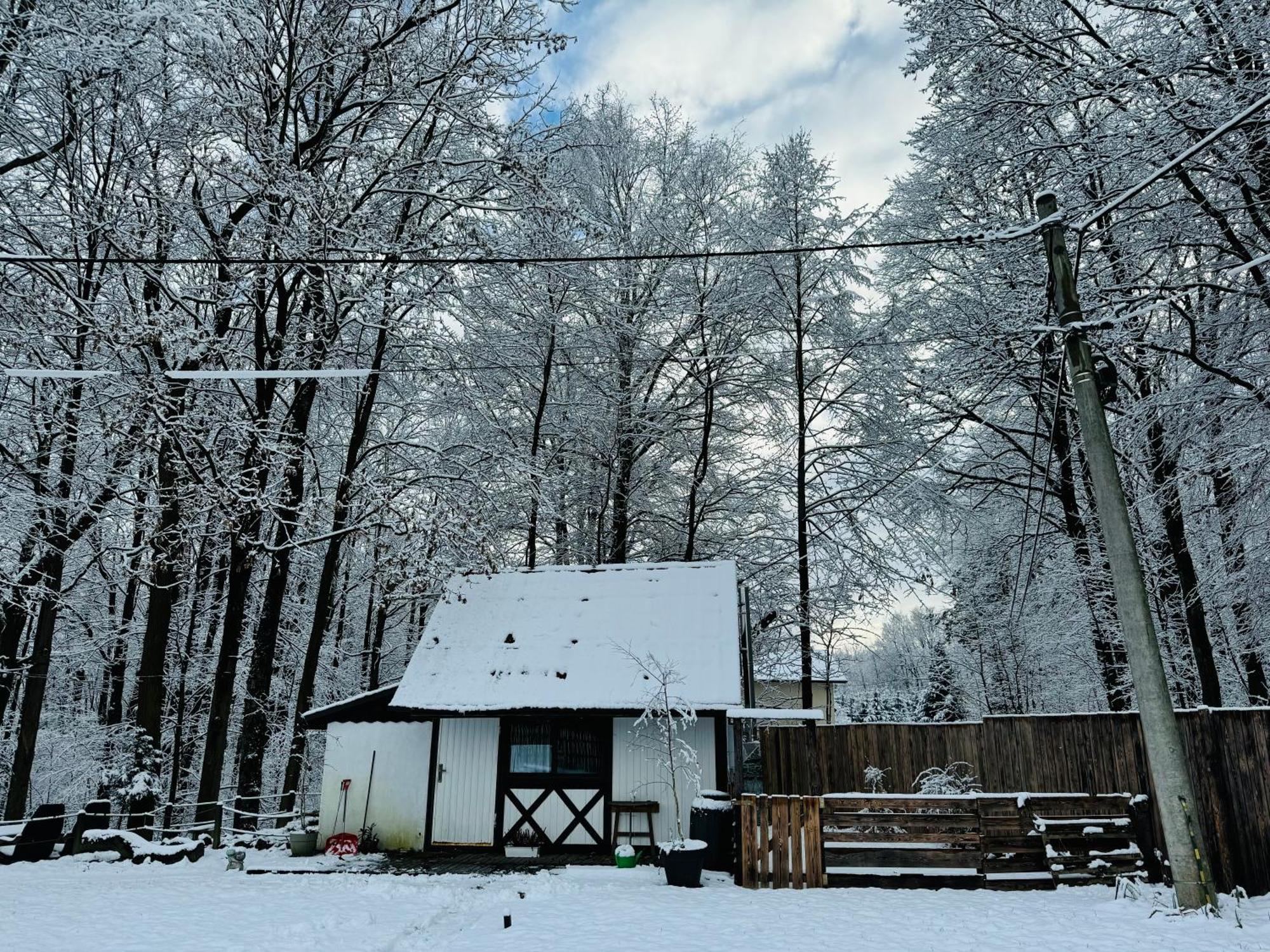 Romantyczna Chatka Pisarzowice (Bielsko) Exterior foto